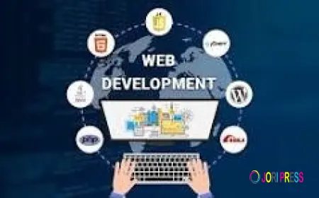 7 Powerful Web Development Solutions in Multan