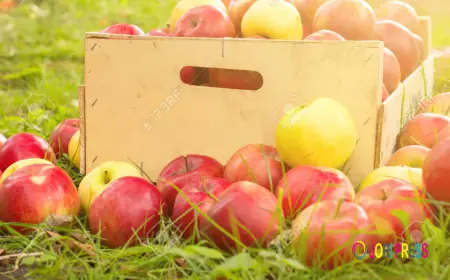 Apple Concentrate Market Focus: Enabling Reliable And Natural Food Production