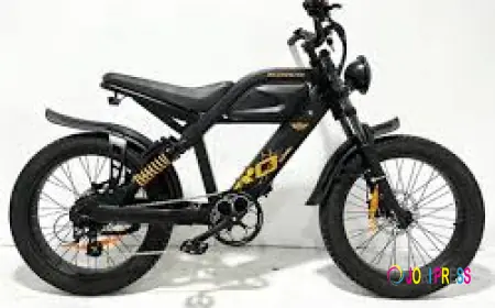 Top Benefits of Electric Mobility Scooter Rental in Venice Beach