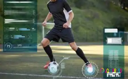 The Transformation of Sports Viewing in the Digital Streaming Age