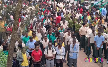 Vienna College Namugongo A level Cambridge Exams results for 2025 released as Boys out perform girls.