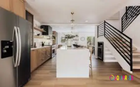 Expert Remodeling: The San Mateo Standard