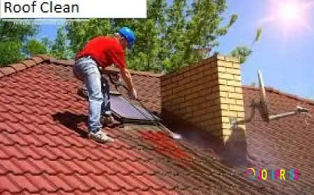 Is Your Roof Asking for Professional Care? Get Trusted Roof Cleaning Services in Mossel Bay