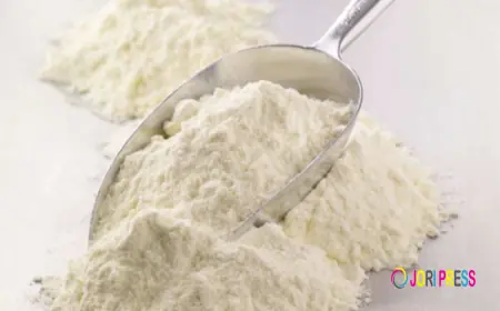 Goat Milk Powder Market Long-Term Outlook: Opportunities and Growth Prospects