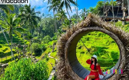 Exploring Ubud: Rice Terraces, Art Markets & Yoga Retreats