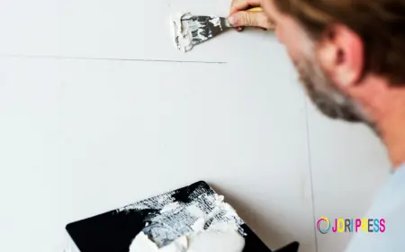 Anicette Stucco LLC Now Offering Professional Stucco Repair in Winter Garden, FL