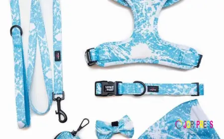 Choosing the Right Walking Gear for Your Dog: From Puppy Harnesses to Rope Dog Leads