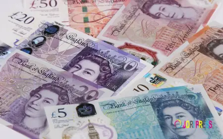 BDI Securities UK Limited Strengthens Its Position as a Trusted Cash Management Partner in the UK