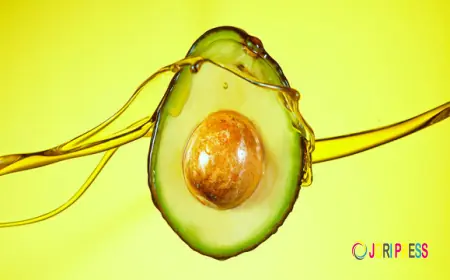 Avocado Oil Market Strengthening With Growing Demand Across Food And Beauty Sectors