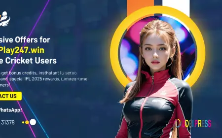 Play247win for Indian Users: Tailored Entertainment, Seamless Experience