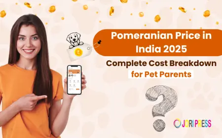 Pomeranian Price in India 2026: Complete Cost Breakdown for Pet Parents