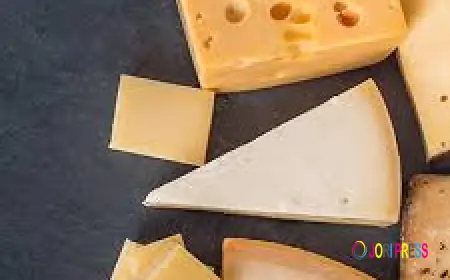 Cheese Market Regional Analysis Highlighting Consumption Trends and Production Capabilities