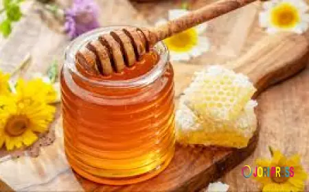 Honey Market Impacting Factors: Key Elements Influencing Industry Growth