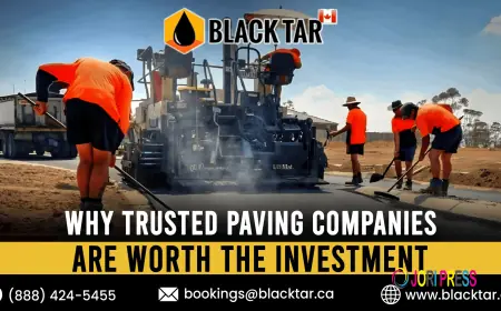 Why Trusted Paving Companies Are Worth the Investment
