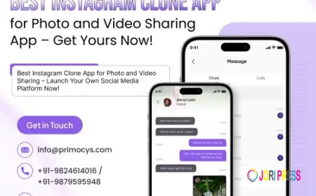 Instagram Clone App | Build Your Own Photo Sharing App Now