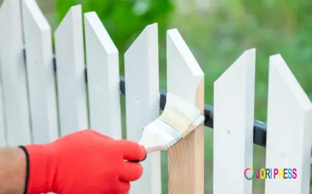 City Home Painting Sets New Benchmarks for Fence Painting in Melbourne