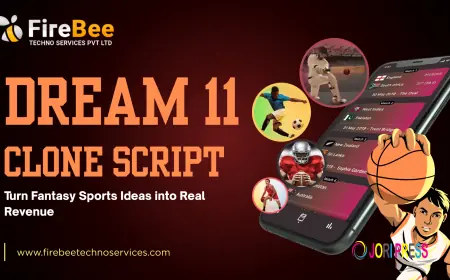 How Dream11 Clone Script Helps Startups Build Profitable Fantasy Sports Platforms