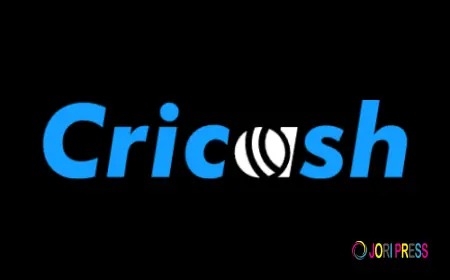 Cricash Online Experience for Smooth and Organized Browsing