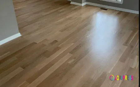 Decorate Your Home In A Modern Way With Modern Solution Hardwood Refinishing In New Palestine