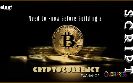 Everything You Need to Know Before Building a Cryptocurrency Exchange Script
