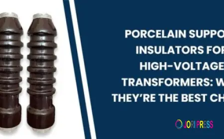 Porcelain Support Insulators for High-Voltage Transformers