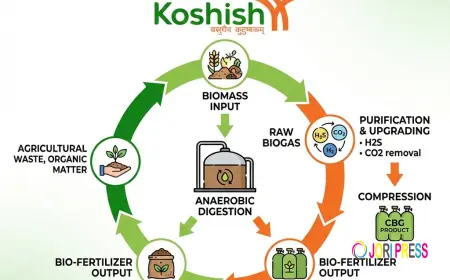 Compressed Biogas: Powering Clean Energy Through Waste Utilization