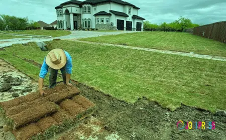 Best and top-quality French Drain Installation in Richardson