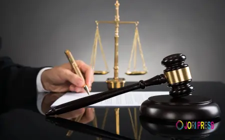 Best And Affordable Child Custody And Support In Calgary