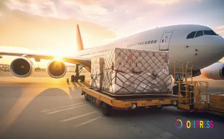 Premier Singapore Air Shipping Company | Faith Logistic - Fast & Reliable Air Freight Solutions