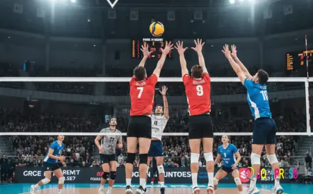 Diamond Exch9 Explained: Everything You Need to Know | Diamond247official