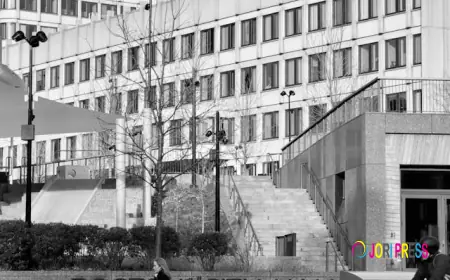 Beverage Packaging and Hand Stretch Film in Modern Distribution