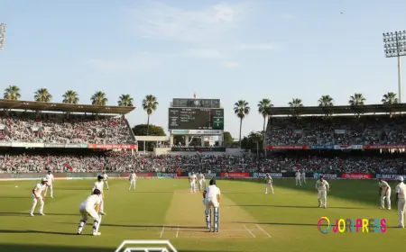 Diamond Exch9: The Ultimate Guide by Diamond247official