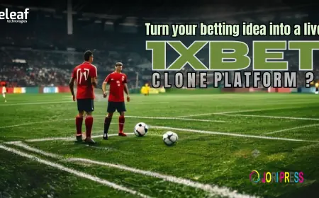 Ready to Turn Your Betting Idea into a Live Platform with a 1xBet Clone: Everything You Need to Know