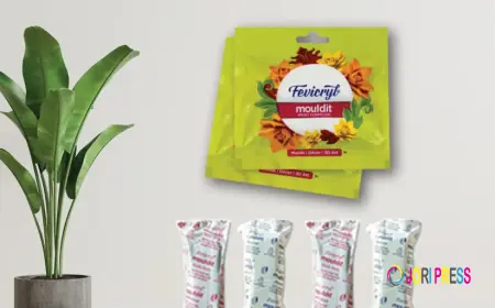 Creating Traditional Designs with Lippan Art Mirrors and Clay