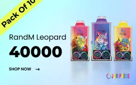 RandM Vapes: Expanding Visibility in the French Disposable Vape Market