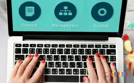 Trusted Digital Marketing Company in Ajax & Milton for Growth