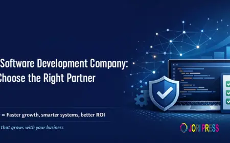 Custom Software Development Company: How to Choose the Right Partner