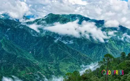 Top Hill Stations in North East India for Peaceful Getaways