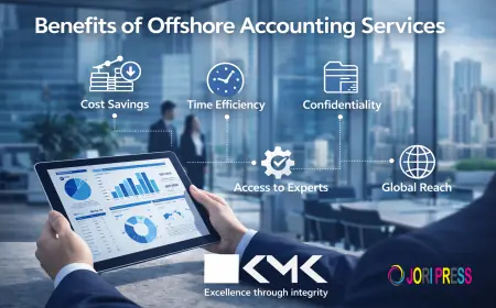 Benefits of Offshore Accounting Services for Expanding Businesses: 