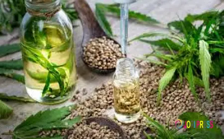 Everything You Need to Know Before Buying Vape Pens and Cartridges