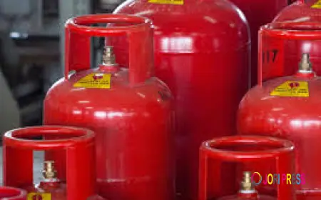 BBQ Gas Quick Delivery in Dubai: Your Complete Guide to Fast, Safe, and Reliable Outdoor Cooking Fuel