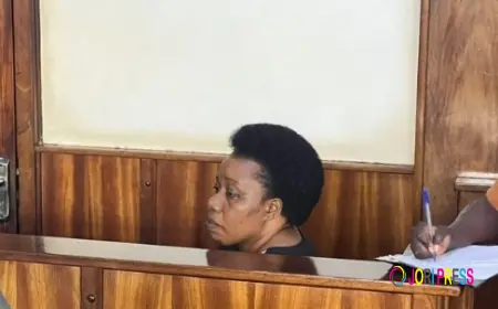 Human Rights Activist Sarah Bireete granted bail