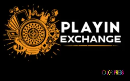 Playinexch365 User Experience complete detaile Guide