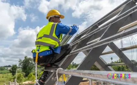 Signs Your Siding Needs Replacement in Palm Coast and Jacksonville, FL