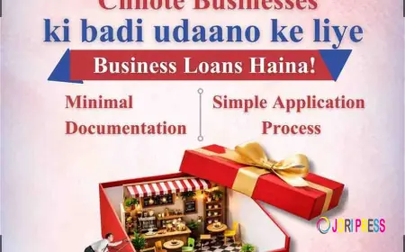 Msme Loan