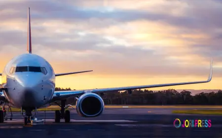 Get 9 Packages Via Norse Atlantic Airways Customer Support Phone Number Los Angeles