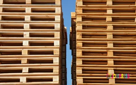 C&C Pallet Services Expands Top-Class Pallet Services in Dublin