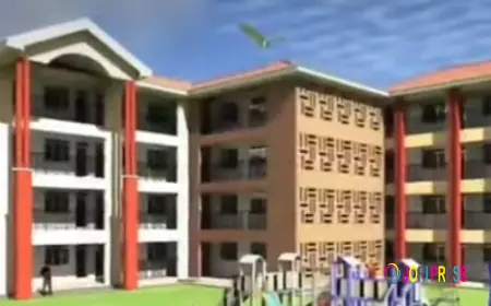 Springs Education Services reveals expansion plans as 1st term opening nears.