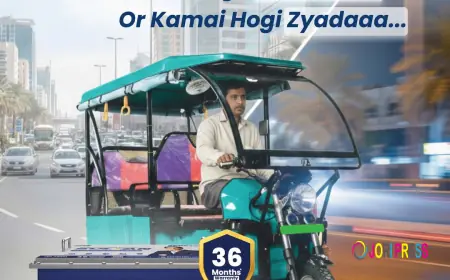 SULTAN Electric 3 Wheeler Lithium Battery