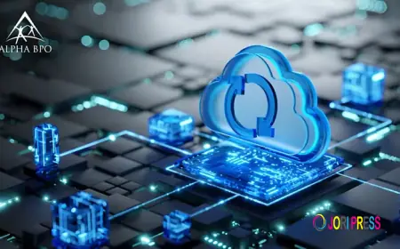 Reduce Costs When You Outsource Data Conversion Services to Alpha BPO